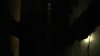 the_100_survivors_5367.jpg