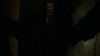 the_100_survivors_5371.jpg