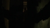 the_100_survivors_5372.jpg
