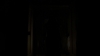 the_100_survivors_5393.jpg