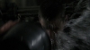 the_100_survivors_5425.jpg