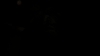 the_100_survivors_5521.jpg