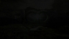 the_100_survivors_5586.jpg