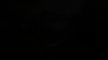 the_100_survivors_5587.jpg