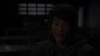the_100_survivors_5619.jpg