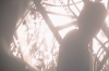 vlcsnap-2015-11-02-16h27m20s233.png