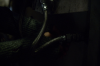 vlcsnap-2015-11-02-16h27m42s022.png