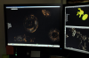 vlcsnap-2015-11-02-16h29m45s360.png