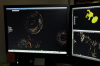 vlcsnap-2015-11-02-16h29m45s709.png