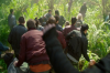 vlcsnap-2015-11-02-17h54m39s762.png