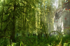 vlcsnap-2015-11-02-17h54m40s556.png