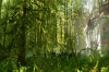 vlcsnap-2015-11-02-17h54m40s942.png