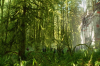 vlcsnap-2015-11-02-17h54m41s350.png