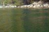 vlcsnap-2015-11-02-17h54m49s724.png