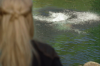 vlcsnap-2015-11-02-17h54m52s016.png