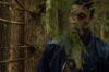 vlcsnap-2015-11-02-17h54m59s633.png