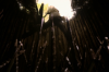 vlcsnap-2015-11-02-17h55m01s369.png