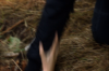 vlcsnap-2015-11-02-17h55m01s814.png