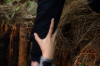 vlcsnap-2015-11-02-17h55m02s262.png