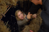 vlcsnap-2015-11-02-17h55m03s095.png