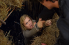 vlcsnap-2015-11-02-17h55m03s468.png