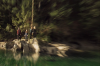 vlcsnap-2015-11-02-17h55m13s686.png