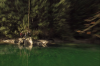 vlcsnap-2015-11-02-17h55m14s135.png