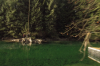 vlcsnap-2015-11-02-17h55m14s589.png