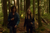 vlcsnap-2015-11-02-17h55m19s355.png