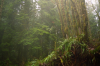 vlcsnap-2015-11-02-17h55m20s938.png