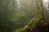 vlcsnap-2015-11-02-17h55m21s402.png