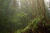 vlcsnap-2015-11-02-17h55m21s821.png