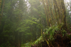 vlcsnap-2015-11-02-17h55m22s243.png