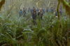 vlcsnap-2015-11-02-17h55m22s641.png
