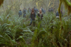 vlcsnap-2015-11-02-17h55m23s036.png