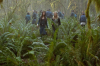 vlcsnap-2015-11-02-17h55m23s441.png