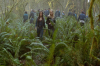 vlcsnap-2015-11-02-17h55m23s833.png