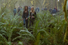 vlcsnap-2015-11-02-17h55m24s256.png