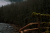 vlcsnap-2015-11-02-17h55m27s116.png