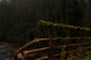 vlcsnap-2015-11-02-17h55m27s585.png
