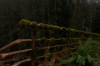vlcsnap-2015-11-02-17h55m28s077.png