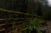 vlcsnap-2015-11-02-17h55m28s579.png