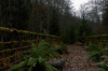 vlcsnap-2015-11-02-17h55m29s536.png