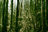 vlcsnap-2015-11-02-17h55m33s209.png