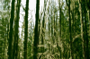 vlcsnap-2015-11-02-17h55m33s624.png
