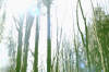 vlcsnap-2015-11-02-17h55m34s356.png