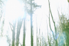 vlcsnap-2015-11-02-17h55m34s685.png