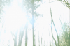 vlcsnap-2015-11-02-17h55m34s988.png