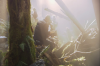 vlcsnap-2015-11-02-17h55m35s385.png