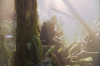 vlcsnap-2015-11-02-17h55m35s825.png